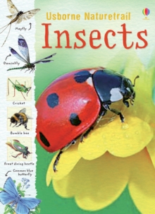 Insects, Paperback Book Insects, Paperback Book