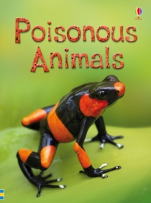 Poisonous Animals, Hardback Book Poisonous Animals, Hardback Book