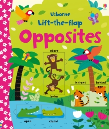 Lift-the-Flap Opposites, Board book Book Lift-the-Flap Opposites, Board book Book