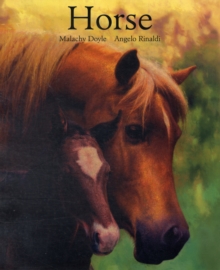 Horse, Paperback Book Horse, Paperback Book