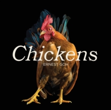 Chickens, Hardback Chickens, Hardback