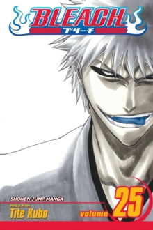 Bleach, Paperback Book Bleach, Paperback Book