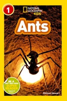 Ants, Paperback Book Ants, Paperback Book