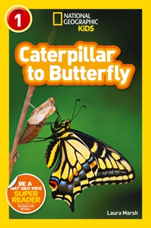 Catepillar to Butterfly, Paperback Book Catepillar to Butterfly, Paperback Book