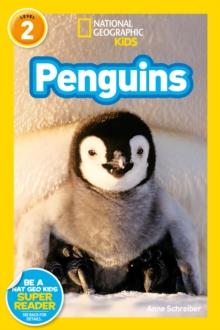 Penguins, Paperback Book Penguins, Paperback Book