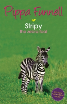 Stripy : the Zebra Foal, Paperback Stripy : the Zebra Foal, Paperback