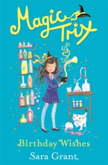 Birthday Wishes : Book 3, Paperback Birthday Wishes : Book 3, Paperback