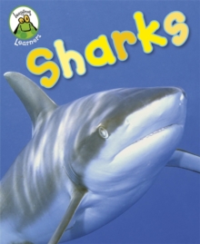 Sharks, Paperback Book Sharks, Paperback Book