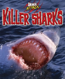 Killer Sharks, Hardback Book Killer Sharks, Hardback Book