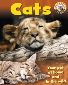 Cats, Paperback Book Cats, Paperback Book