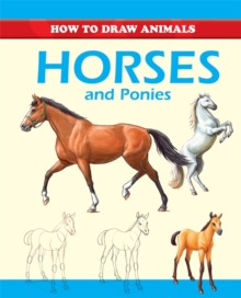 Horses and Ponies, Paperback Horses and Ponies, Paperback