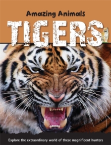 Tigers, Paperback Tigers, Paperback