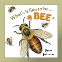 A Bee, Hardback Book A Bee, Hardback Book