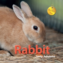 Rabbit, Hardback Rabbit, Hardback
