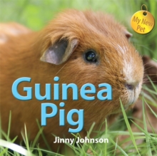 Guinea Pig, Hardback Guinea Pig, Hardback