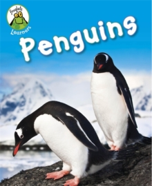 Penguins, Hardback Penguins, Hardback
