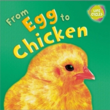 From Egg to Chicken, Paperback Book From Egg to Chicken, Paperback Book