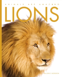 Lions, Paperback Book Lions, Paperback Book