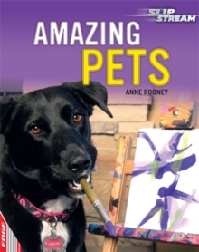 Amazing Pets : Level 2, Hardback Book Amazing Pets : Level 2, Hardback Book