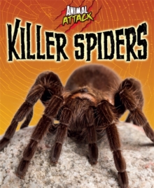 Killer Spiders, Paperback Book Killer Spiders, Paperback Book