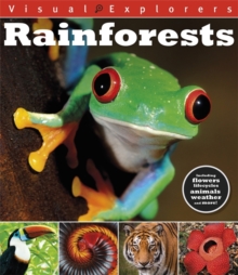 Rainforests, Hardback Book Rainforests, Hardback Book