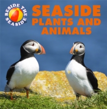 Seaside Plants and Animals, Hardback Book Seaside Plants and Animals, Hardback Book