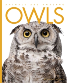 Owls, Paperback Book Owls, Paperback Book