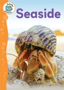 Seaside, Hardback Book Seaside, Hardback Book