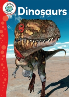 Dinosaurs, Paperback Book Dinosaurs, Paperback Book