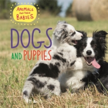 Dogs & Puppies, Hardback Book Dogs & Puppies, Hardback Book