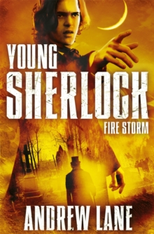 Fire Storm, Paperback Fire Storm, Paperback