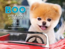 Boo : Little Dog in the Big City, Hardback Boo : Little Dog in the Big City, Hardback