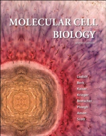 Molecular Cell Biology : International Edition, Hardback Book Molecular Cell Biology : International Edition, Hardback Book