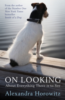 On Looking : About Everything There is to See, Paperback Book On Looking : About Everything There is to See, Paperback Book