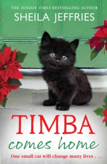 Timba Comes Home, Hardback Book Timba Comes Home, Hardback Book