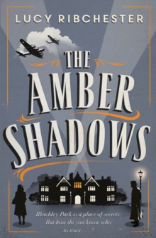 The Amber Shadows, Paperback Book The Amber Shadows, Paperback Book