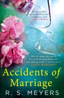 Accidents of Marriage, Paperback Accidents of Marriage, Paperback