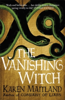 The Vanishing Witch, Paperback The Vanishing Witch, Paperback