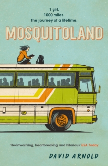 Mosquitoland, Paperback Book Mosquitoland, Paperback Book