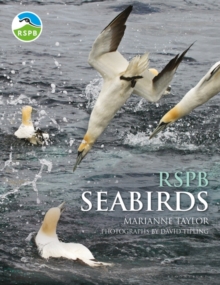 RSPB Seabirds, Hardback Book RSPB Seabirds, Hardback Book