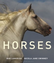 Horses, Hardback Book Horses, Hardback Book