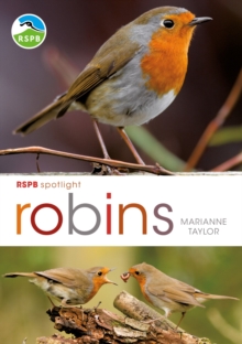 RSPB Spotlight: Robins, Paperback RSPB Spotlight: Robins, Paperback