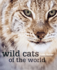 Wild Cats of the World, Hardback Book Wild Cats of the World, Hardback Book