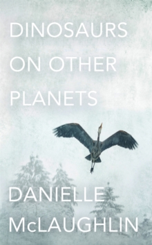 Dinosaurs on Other Planets, Hardback Book Dinosaurs on Other Planets, Hardback Book