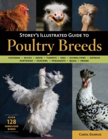 Storey's Illustrated Guide to Poultry Breeds, Paperback Storey's Illustrated Guide to Poultry Breeds, Paperback