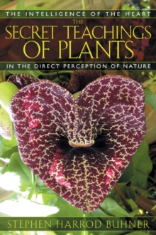 The Secret Teachings of Plants : The Intelligence of the Heart in Direct Perception to Nature, Paperback Book The Secret Teachings of Plants : The Intelligence of the Heart in Direct Perception to Nature, Paperback Book