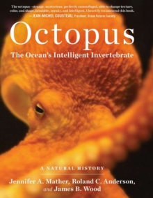 Octopus, Hardback Book Octopus, Hardback Book