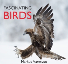 Fascinating Birds, Hardback Book Fascinating Birds, Hardback Book