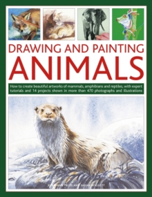 Drawing and Painting Animals : How to Create Beautiful Artworks of Mammals, Amphibians and Reptiles, with Expert Tutorials and 14 Projects Shown in More Than 470 Photographs and Illustrations, Paperback Book Drawing and Painting Animals : How to Create Beautiful Artworks of Mammals, Amphibians and Reptiles, with Expert Tutorials and 14 Projects Shown in More Than 470 Photographs and Illustrations, Paperback Book