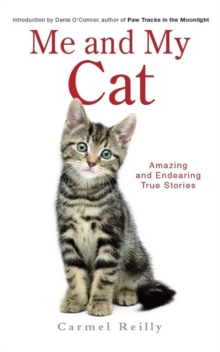 Me and My Cat, Paperback Me and My Cat, Paperback